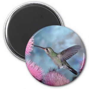 Pretty Humming Birds Round Magnet
