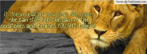 Lioness pain Profile Facebook Covers