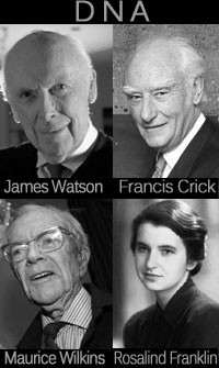 Watson, Crick, Franklin, Wilkins: Discovery Common, Common Attributes ...
