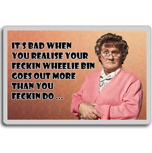 ... MRS BROWN'S BOYS NEW FUNNY PHOTO FRIDGE MAGNET WHEELIE BIN QUOTE#1