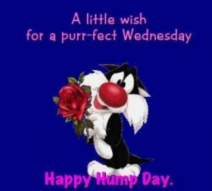Happy Hump Day quotes quote looney toons days of the week sylvester ...