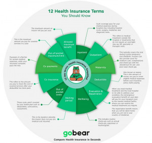 GoBear currently lists over 130 health insurance plans on its website ...