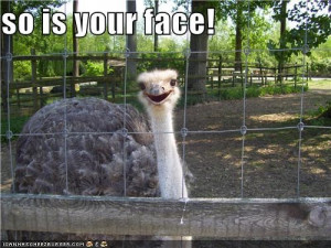 When someone was insulting you and you didn’t have a witty comeback ...