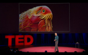 download this Louie Schwartzberg Ted Talk Cover Photo picture