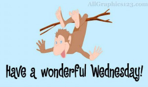 Wonderful wednesday monkey