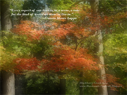 ... screen saver to be your desktop wallpaper! Click here to find out how