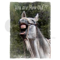 Funnies pictures about Horse Birthday Sayings