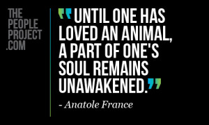 ... One Has Loved An Animal A Part Of One’s Soul Remains Unawakened