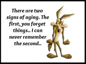 Wile E. Coyote ~ Funny ~ Life ~ Quote: Signs, Funny Funny, Funny Pics ...