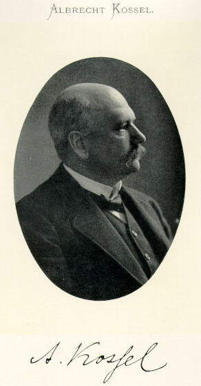 Kossel Albrecht