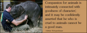 EmilysQuotes.Com - compassion, animals, goodness, character, cruel ...