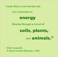 Land, then, is not merely soil; it is a fountain of energy flowing ...