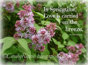 11-13, The scents of Spring, Love quote, Terri Guillemets quote ...