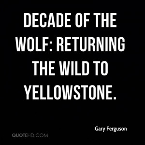 Decade of the Wolf: Returning the Wild to Yellowstone.