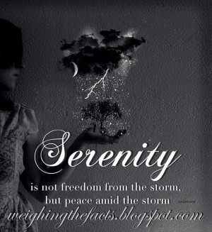 serenity is not freedom from the storm but peace amid the storm ...