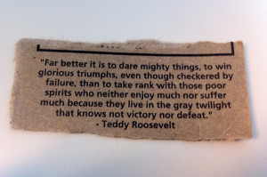 Teddy Roosevelt Quotes HD Wallpaper 4