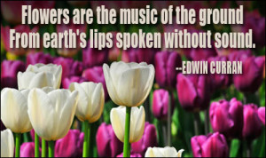 ... Of The Ground From Earth’s Lips Spoken Without Sound - Flower Quote