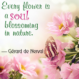 Awesome Quotes and Sayings About Flowers