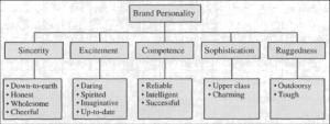 Consumer Behavior PART FOUR: Importance of Psychographics in Social ...