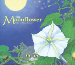 the moonflower by peter loewer h peter loewer this beautifully