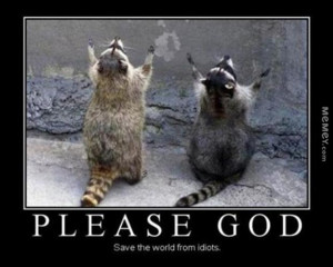 funny raccoons praying