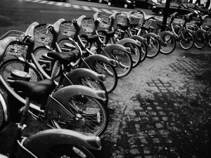 paris bicycles grayscale