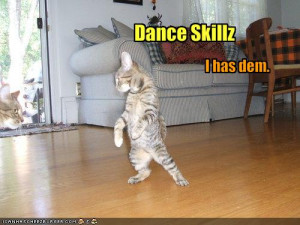 funny-pictures-cat-has-dance-skills