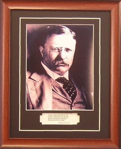 Theodore-Teddy-Roosevelt-Photo-Quote-Framed-Politics-2