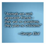 Quotes About Compassion for Animals