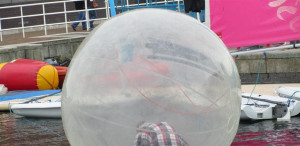 The Futility of Fuel Prices