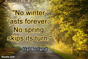 No winter lasts forever; no spring skips its turn.