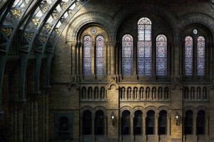 Natural History Museum, London - arches and stained glass