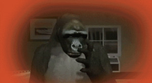 Tagged: Xavier: Renegade Angel quote LOL Funny Witty TV Gif Gifmovie