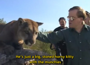Thread: Favourite trailer park boys quotes
