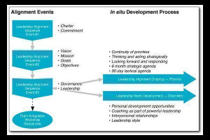 Organization development