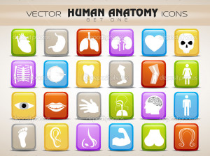 Human Anatomy Website Icons...
