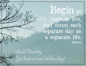 Quotes-Begin-at-once-to-live-and-count-each-separate-day-as-a-separate ...