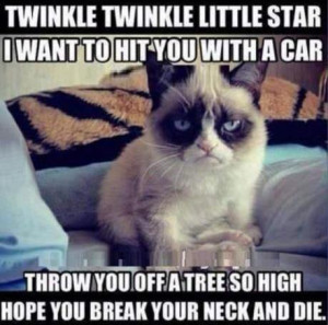 Grumpy Cat Memes Titanic