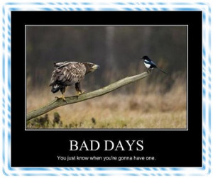 Bad Day..Grrrr