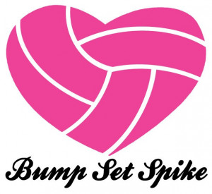 Heart Volleyball 