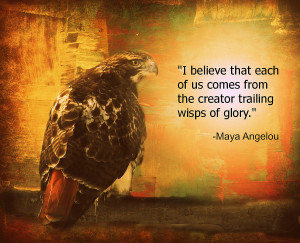 Red-tailed Hawk With Maya Angelou Quote Photograph