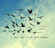 adventure-be-free-bird-birds-clouds-feelings-free-freedom-inspiration ...