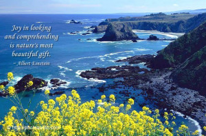 ... And Comprehending Is Nature’s Most Beautiful Gift - Beauty Quote