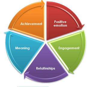 PERMA MODEL OF WELL BEING by Martin Seligman