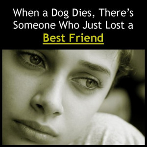 ... Sympathy Messages: Condolences for Loss of Dogs, Cats, and Other Pets