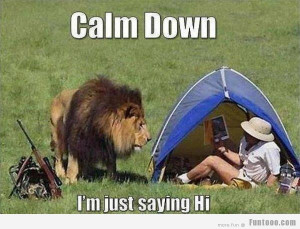 Calm Down...I M just Saying Hi... :)