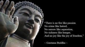 ... joy of freedom gautama buddha via http www facebook com buddhistpeople