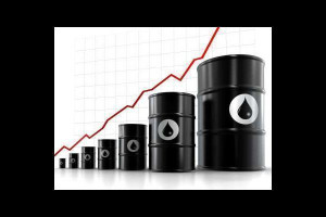 About 'Crude oil'