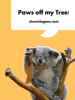 Paws off my tree says the Koala! Save the Rainforest!