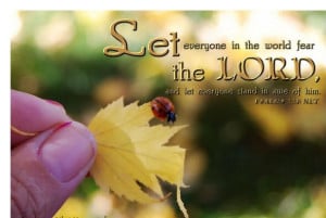 bible quotes | best bible quotes | awesome bible quotes | wonderful ...